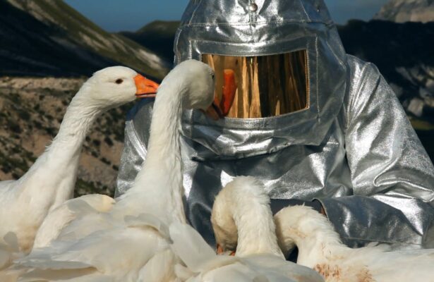 Online-курс «Искусство после постмодернизма. Проблемы, тенденции, имена»