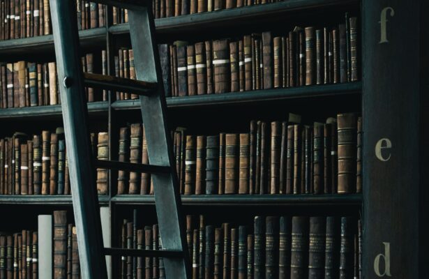 Медленное чтение: А. С. Пушкин «Выстрел»