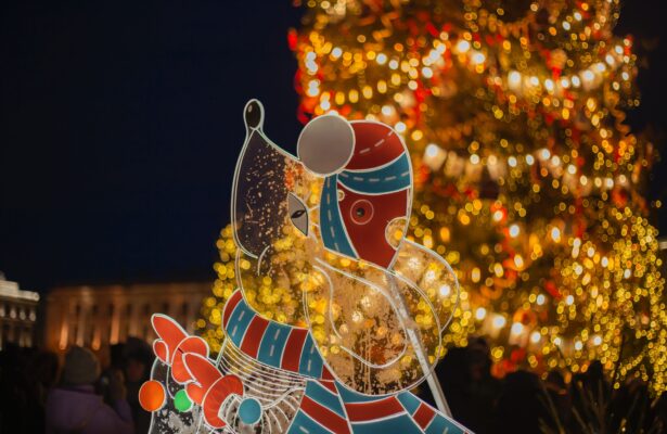 Прогулка по зимнему Петербургу