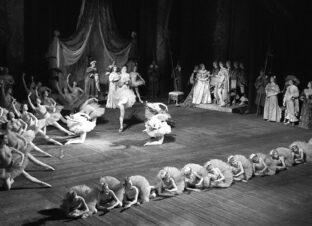 Арт-бранч «Петербургский балет: пластика, грация и красота» с Арсением Суржа