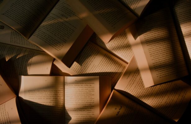 Отечественная литература конца XIX – начала XX века