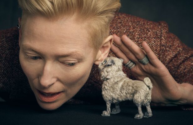 Online-курс «Актерский портрет: Англия, Ирландия»