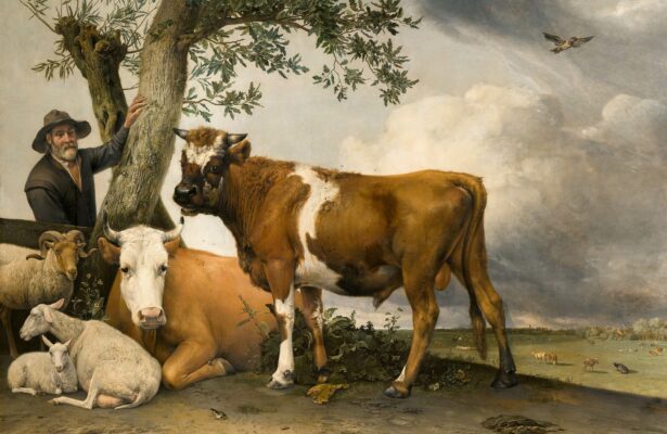 История европейского искусства