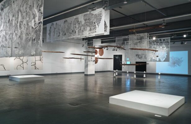 Зависимость или независимость? Вопрос куратора