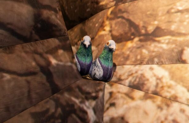 «Это было со мной» на Винзаводе