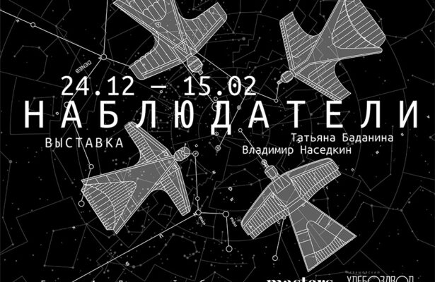 Аудиогид к выставке Татьяны Баданиной и Владимира Наседкина «Наблюдатели»