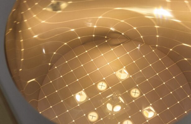 Кураторская экскурсия по выставке «Наблюдатели»