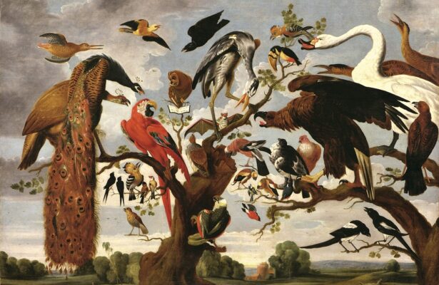 «Класс зверей и птиц, цветов и плодов. Академические классы XVIII века» в Музее Академии Художеств