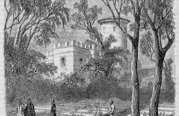 Визит в L’Hotel Imperial des chevaux invalids в Царском Селе